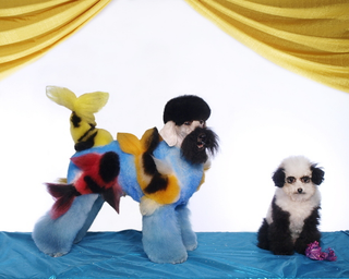 Illustration for article titled I am LAUGHING SO HARD at this.